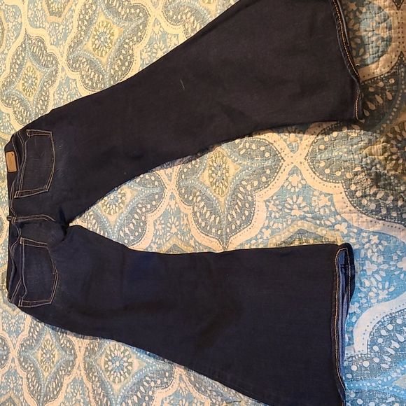 American eagle - Picture 2 of 2